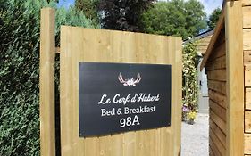 Le Cerf D'Hubert